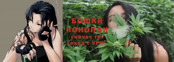 спайс Медногорск