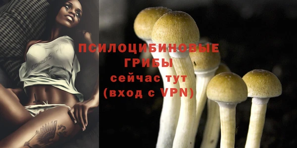 мет Медвежьегорск