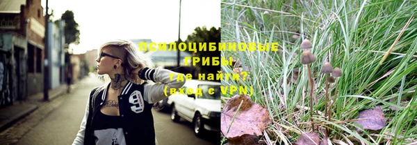 прущая мука Михайлов