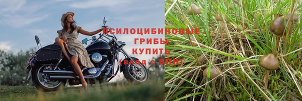 спайс Медногорск