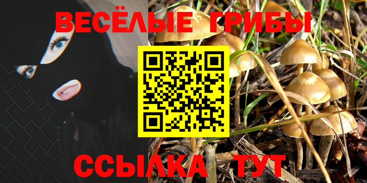 что такое наркотик  Ефремов  Псилоцибиновые грибы ЛСД 