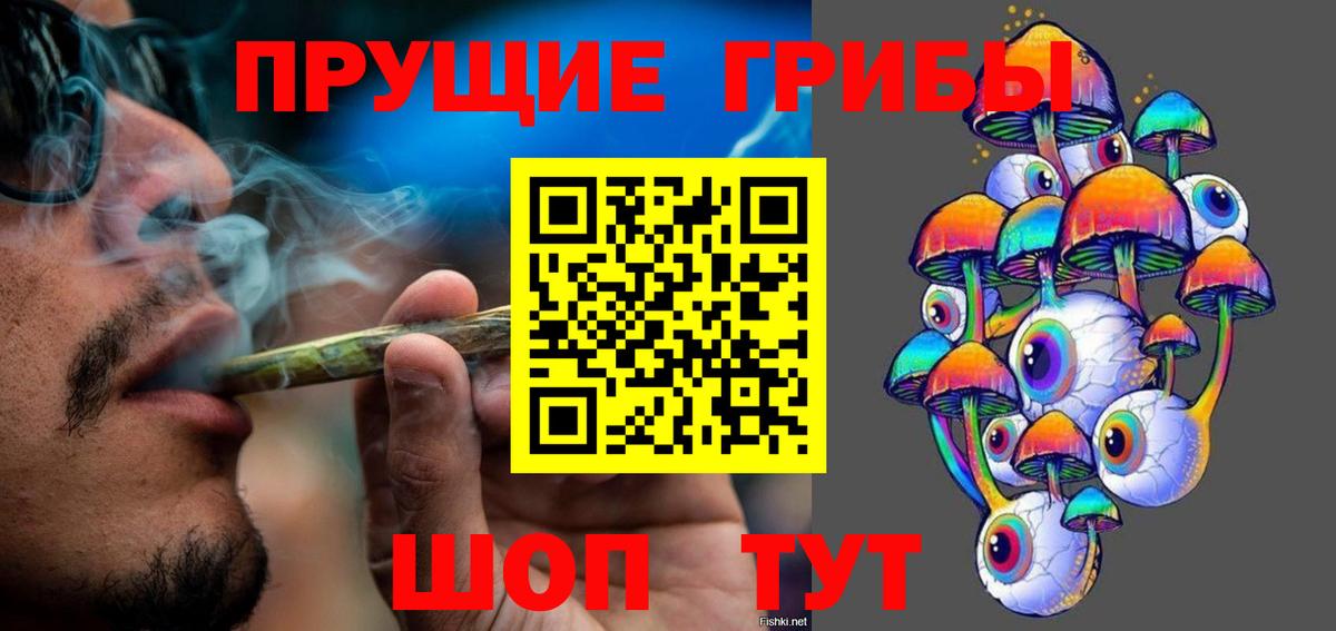 Псилоцибиновые грибы Cubensis  магазин    Ефремов  Вход с VPN 