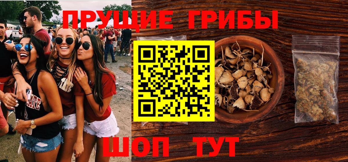 Псилоцибиновые грибы Psilocybe Ефремов